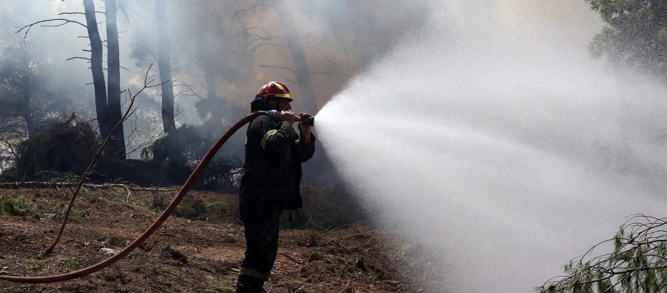 Δασικές πυρκαγιές: Η πρόληψη σώζει